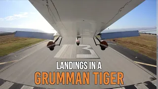 I Try Landing A Grumman Tiger | AA5B