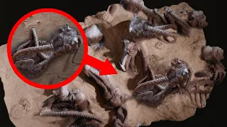 9 Most Mysterious Recent Discoveries