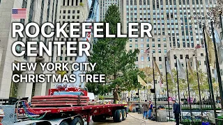 🇺🇸🎄 Rockefeller Center Christmas Tree is up - Full Video | November 2021 (4K 60fps)