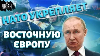 НАТО готово воевать с Путиным за Литву