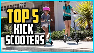 ▶️Top 5 Best Kick Scooters in 2024