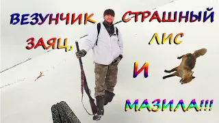 Везунчик заяц, страшный Лис и МАЗИЛА!!! Охота на зайца и лису.