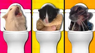 skibidi toilet but meme cats meow