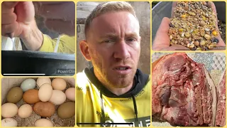 МНЕ ВЕРНУЛИ МЯСО🙀🙀🙀ПОЧЕМУ КОЗ ДОЮ РУКАМИ?