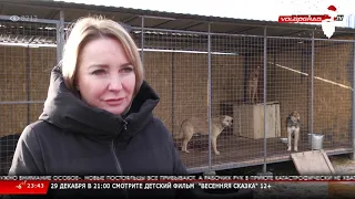 Новости Волгограда и Волгоградской области 28 12 2020