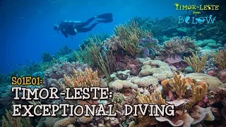 Best Scuba Diving Destination You’ve Never Heard Of [4K] | Timor-Leste from Below (S01E01) |  SZtv