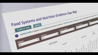 The effects of food systems interventions on food security and nutrition outcomes in LMICs