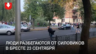 Люди разбегаются от силовиков в Бресте 23 сентября