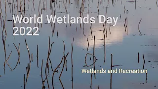 Wetlands For Recreational Use