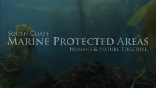 South Coast Marine Protected Areas: Humans and Nature Together