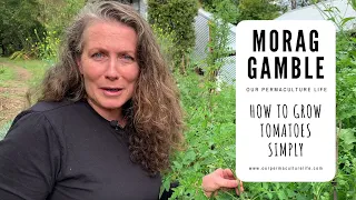 How to grow tomatoes simply with Morag Gamble