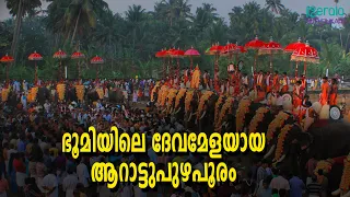 ആറാട്ടുപുഴ പൂരത്തിന്റെ പകിട്ടും പത്രാസും മങ്ങാൻ കാരണം ഇതാണ് | Arattupuzha Pooram