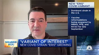 Dr. Scott Gottlieb: Nothing suggests new 'Eris' Covid variant is more pathogenic than prior variants