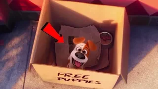 The Secret Life of Pets (2016) - Where does Max come from???