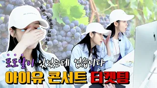 [The ENT office worker Lee Jidong] There were grape kernels, not🍇ㅣIU Concert ticketing