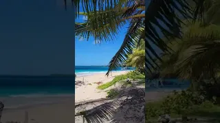 пляж Ринкон, Доминикана #доминикана2022 #пляж #shorts #alexdominicana