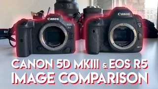 Canon 5Dmk3 vs EOS R5 image comparison with the 85mm 1.2 lens.