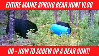 Entire Maine 2021 spring bear hunting VLOG