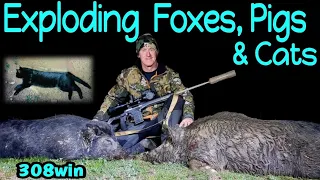 Exploding Foxes, Pigs & Cats 308win