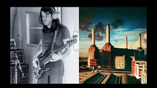 Pigs (Three Different Ones) [ISOLATED BASS] - Pink Floyd