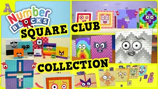 Ultimate Numberblock Square Club Collections 1, 16, 100, 225, 324 to 625!