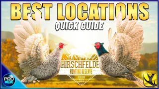 Where to find Pheasants on Hirschfelden 2023 (Hotspot Map Included) - theHunter Call of the Wild