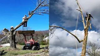 Funniest Tree Cutting Fails 11