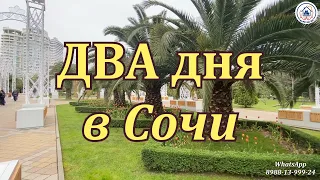 2 дня в Сочи . Отдых на Черноморском побережье. Курс на Юг.