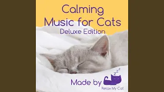 Relaxing Music for Cats