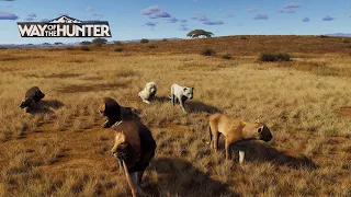 Our albino lion had a baby plus more 5 stars in Way of the Hunter