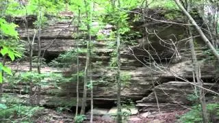 Yellow Rock Trail at Devils Den State Park