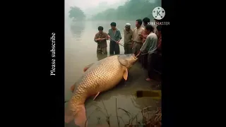 Amazing big fish hunting