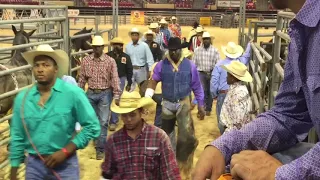 2017 Bill Pickett Invitational Rodeo Grand Entry