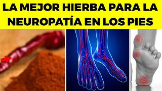 ¡ESTE es LA MEJOR HIERBA para Eliminar la NEUROPATÍA en los PIES!