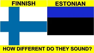 FINNISH vs ESTONIAN: DO THEY SOUND ALIKE? | Verbale Mondo