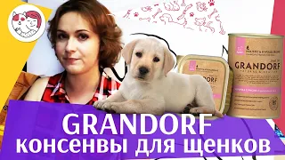 Grandorf консервы для щенков на ilikepet