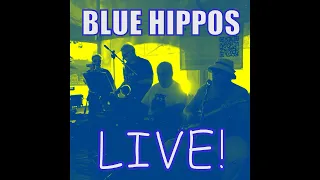 Blue Hippos Live