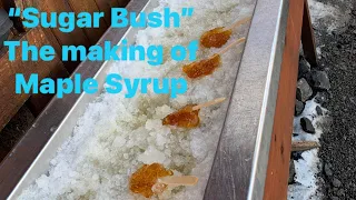 How Maple Syrup is made! | Sugar bush at THE LOG FARM