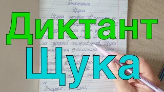 Диктант по теме " Написание буквосочетаний жи- ши, ча-ща, чу-щу, чк, чн, щн"