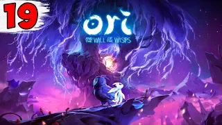 ПРЕДЕЛ БАУРА ► Ori and the Will of the Wisps #19