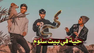 حية في بيت سلوم // فلم هادف #يوميات_سلوم