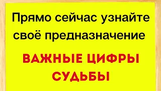 Прямо сейчас узнайте свое предназначение. Важные цифры судьбы.