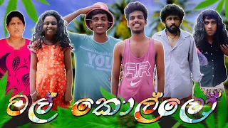 මල් කොල්ලෝ | MAL KOLLO | KDJ PRODUCTIONS ( @kdjdiaries )