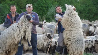 DVIJE EKIPE NOMADA SE  SUDARILE  JEDNI IDU ZA GLAMOČ DRUGI NA VLAŠIĆ  ( VAHA I HIME )