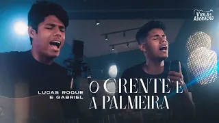 Lucas Roque e Gabriel - O Crente e a Palmeira (Acústico Oficial)