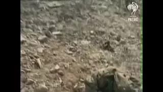Battle of Tora Bora (2001) | A Day That Shook the World