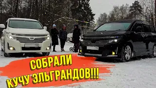 Сходка владельцев NISSAN ELGRAND в Москве