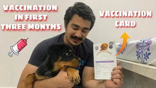 FOR BEGINNERS | DOG VACCINATIONS SCHEDULE FROM STARTING & DOG VACCINATION PRICE IN INDIA IN HINDI |