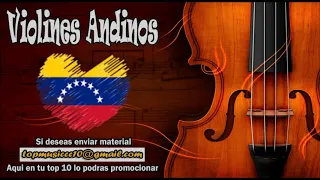 Violines Andinos