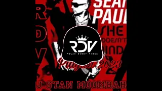 She Doesn't Mind Sean Paul ft Dj Stan_Moombah_Chill_2023 remix _(RDV) Playlist